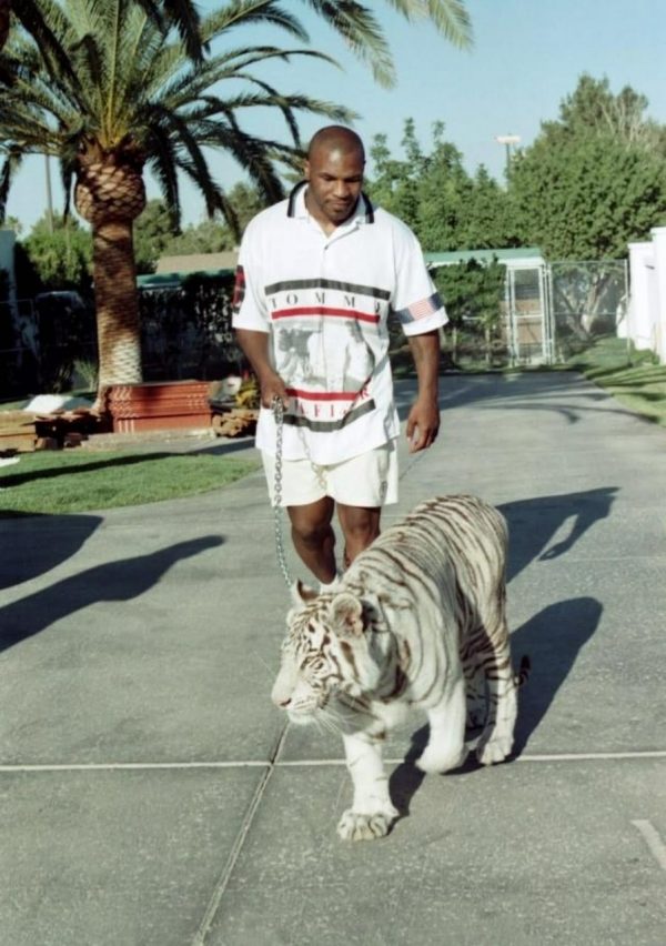 Mike Tyson And White Tiger T-Shirt - Image 2