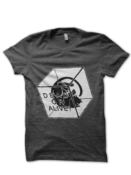 Schrodinger Equation T-Shirt
