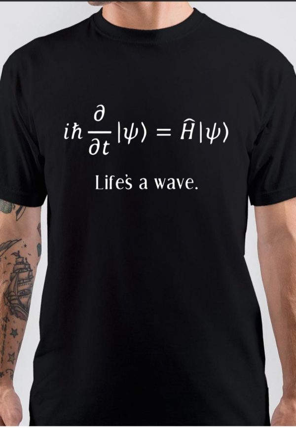 Schrodinger Wave Equation T-Shirt