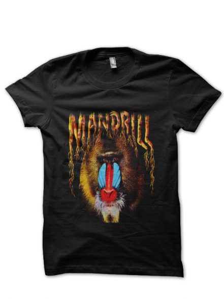t shirts online india by Swagshirts99.in