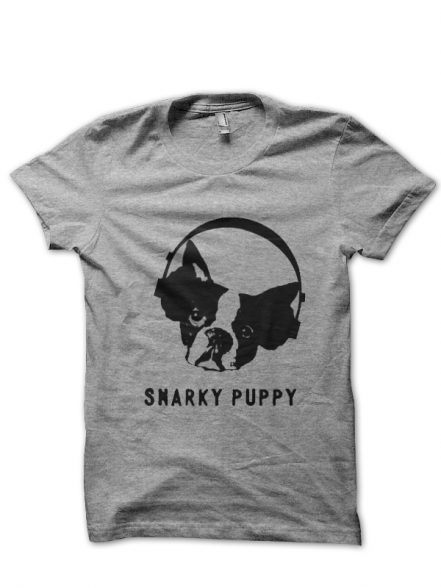 t shirts online india by Swagshirts99.in
