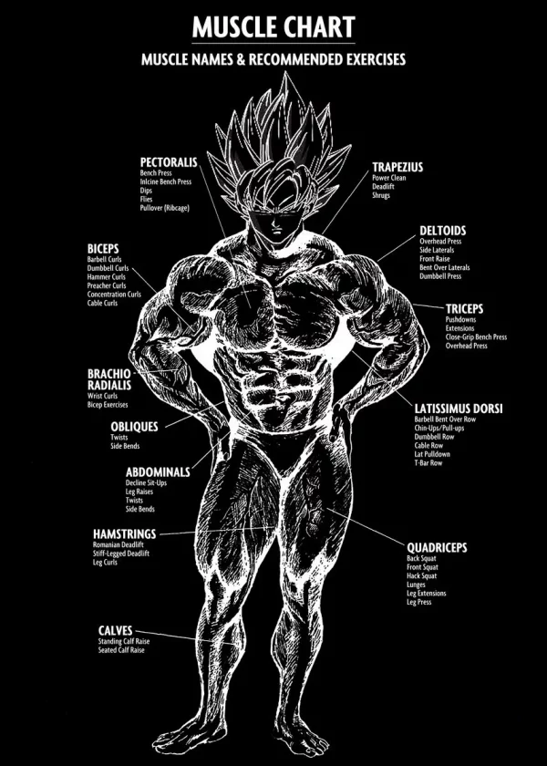 muscle-chart-poster-swag-shirts