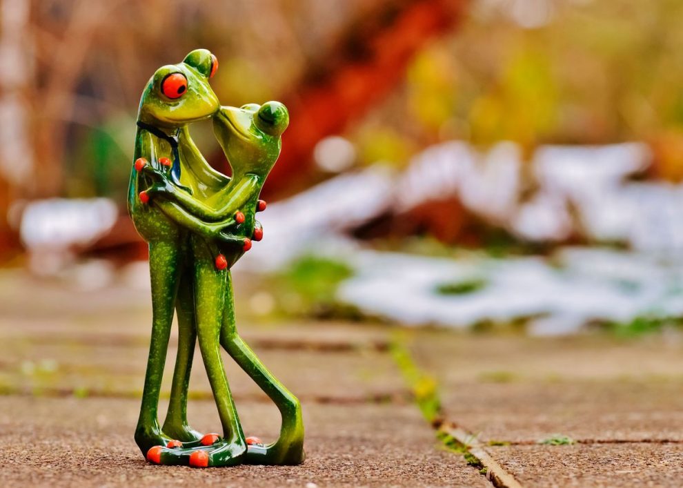 FROGS IN LOVE Poster - Image 3