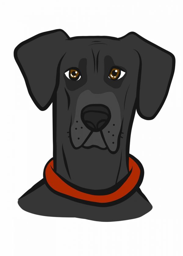 Great Dane Dog Face Poster - Image 3